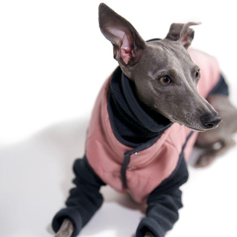 Colette Padded Vest - BONDIR