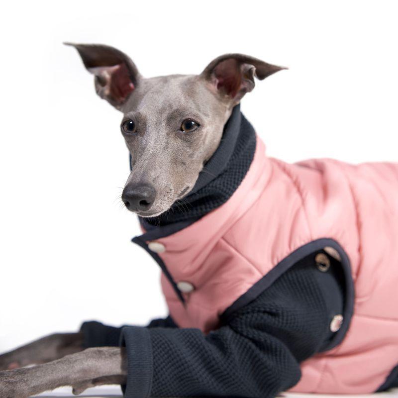 Colette Padded Vest - BONDIR