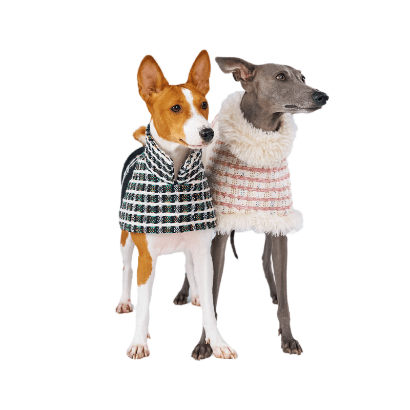 Les Merveilles Coat - BONDIR