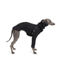 Odysseus Sweater - BONDIR