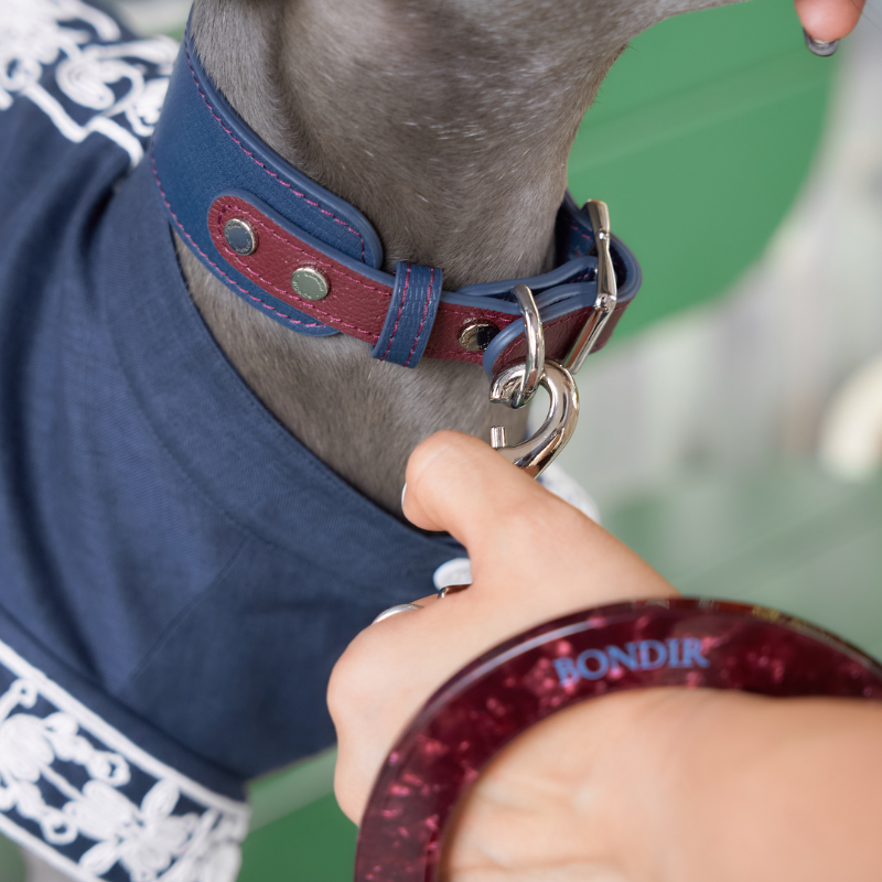 Rosette Leather Collar