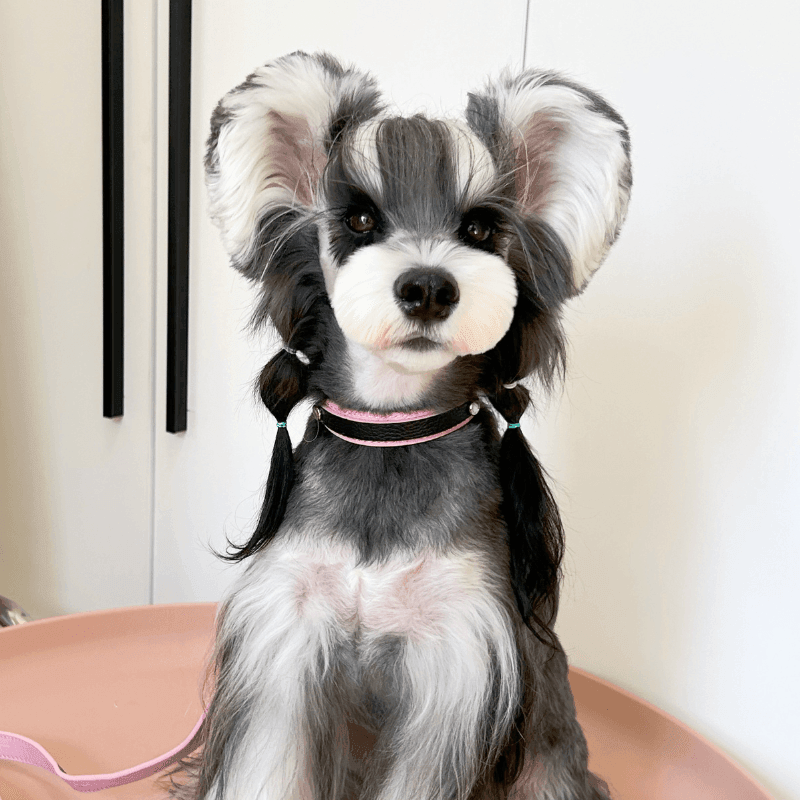 Slim Flamingo Leather Collar - BONDIR