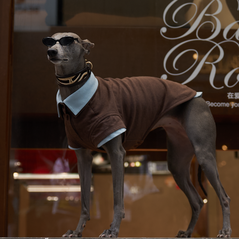 Cocoa Double Layer Dog Polo