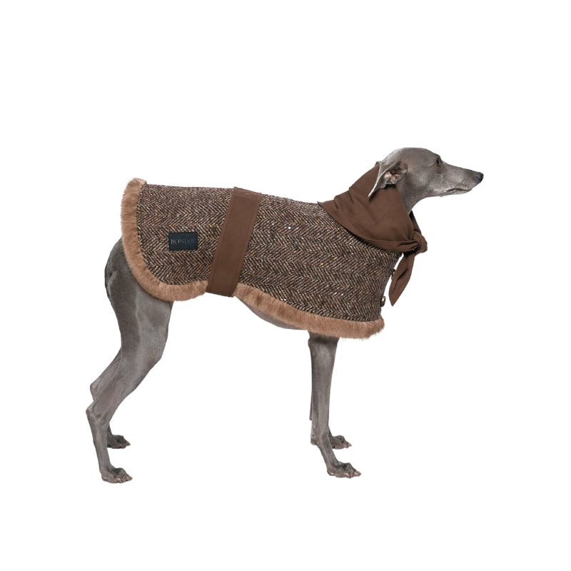 Barrow Hood-Scarf Coat