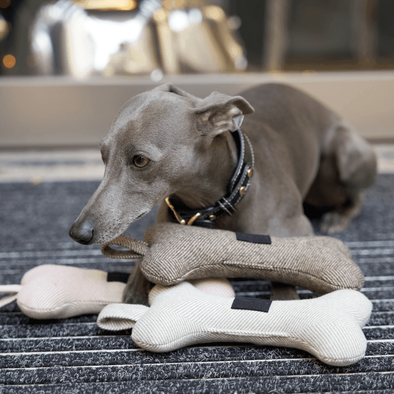 Tweed Squeaky Bone Dog Toy Set - BONDIR