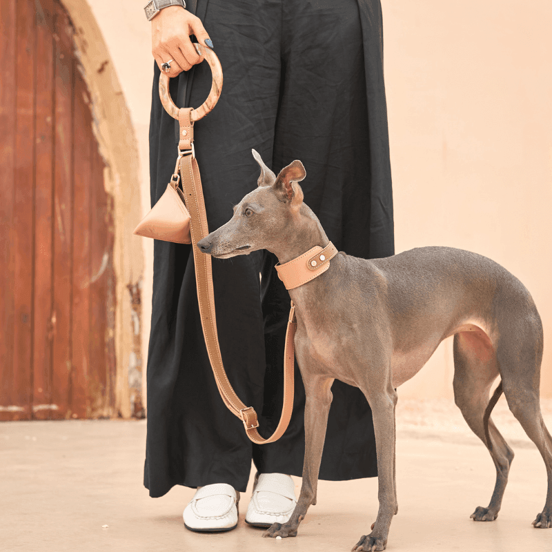 Blushwood Leather Dog Leash - BONDIR