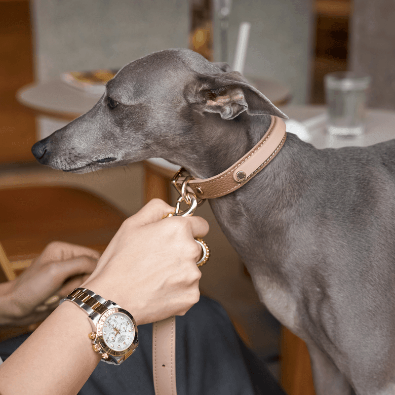 Slim Blushwood Leather Collar - BONDIR