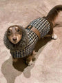 Urban Espresso Coat - BONDIR
