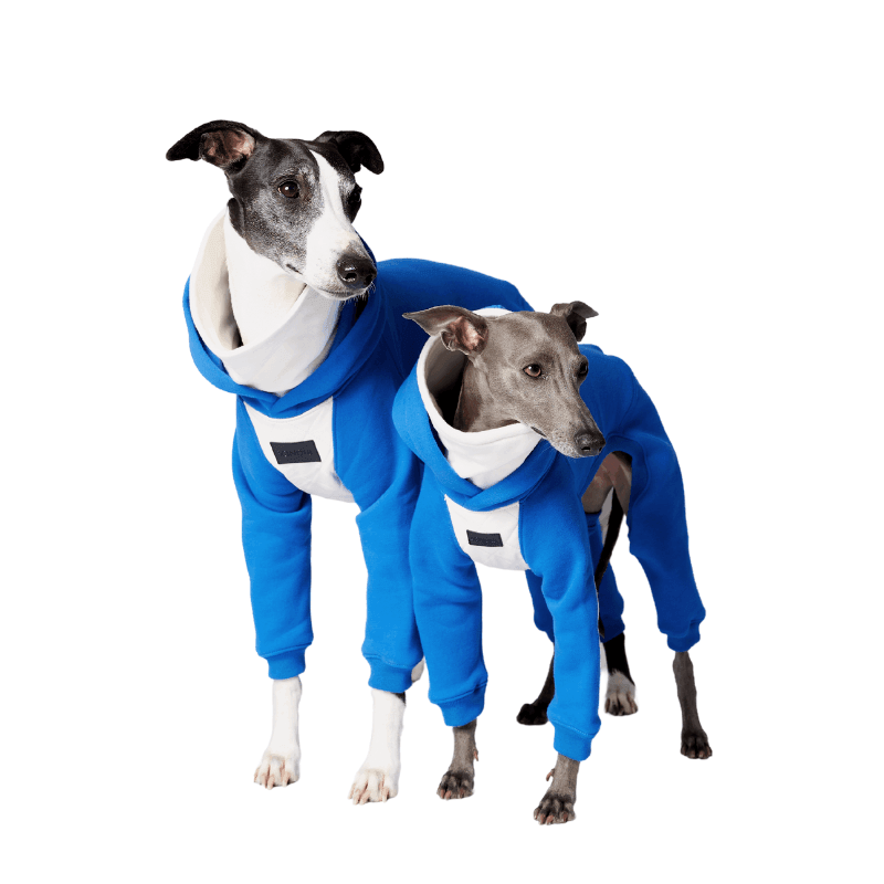 Elecrique Hooded Onesie - BONDIR