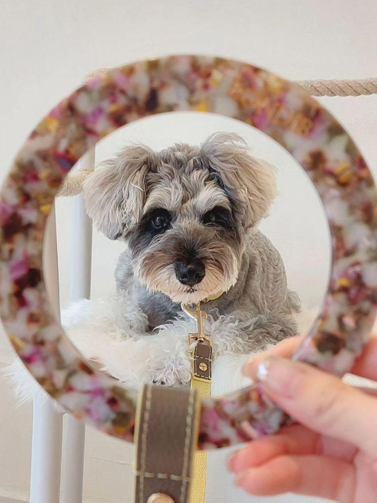 Rosy Leather Dog Leash - BONDIR