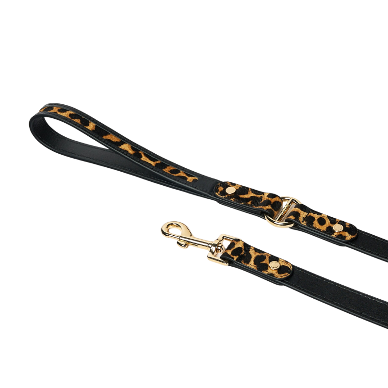 Wide Oak Pony Hair Dog Leash