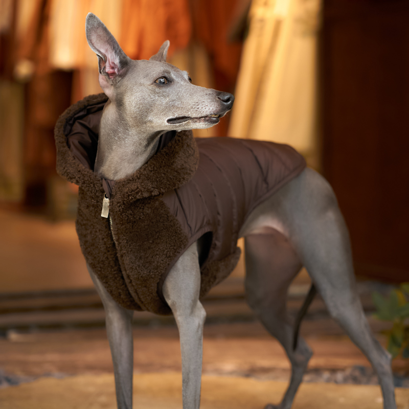 Merino Down Vest