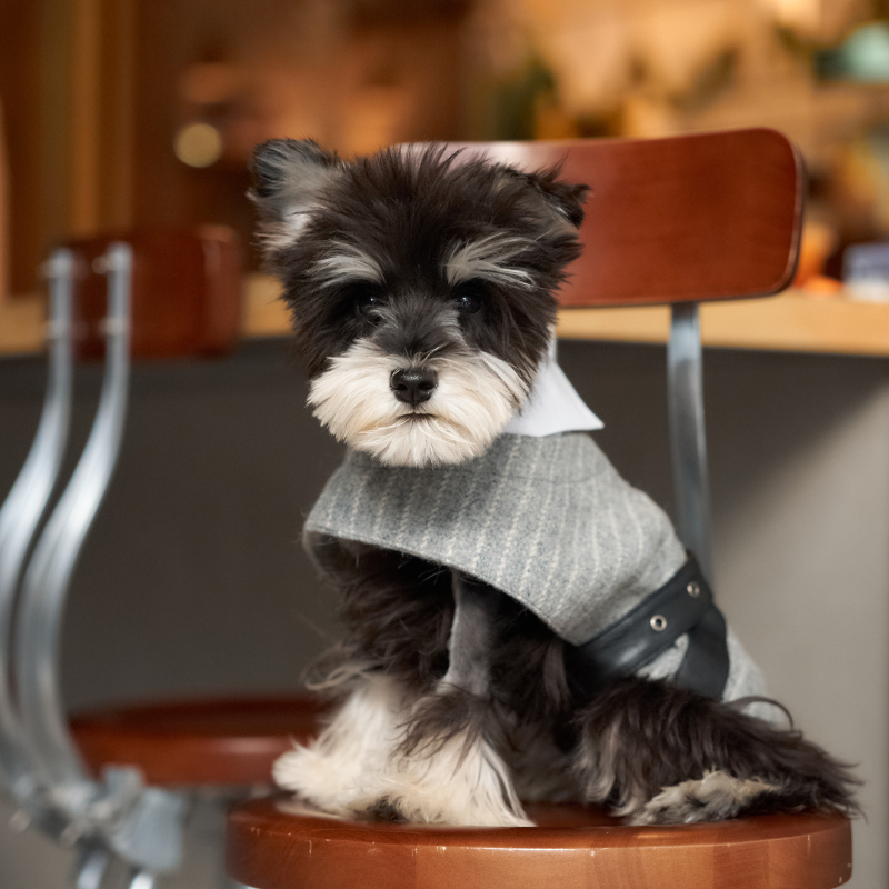 Riverton Pinstriped Wool Coat