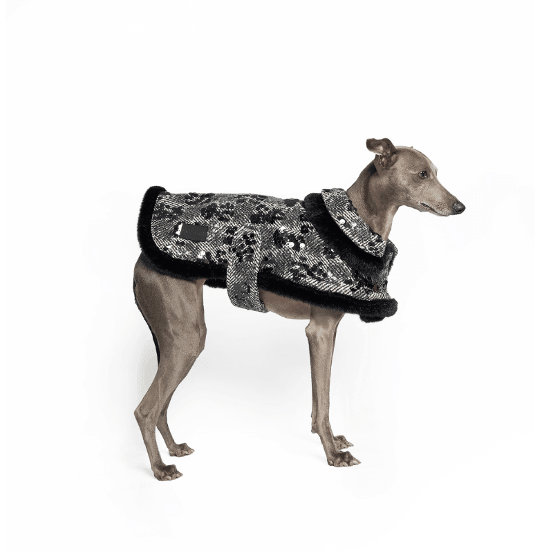 Monocle Double Collar Coat - BONDIR