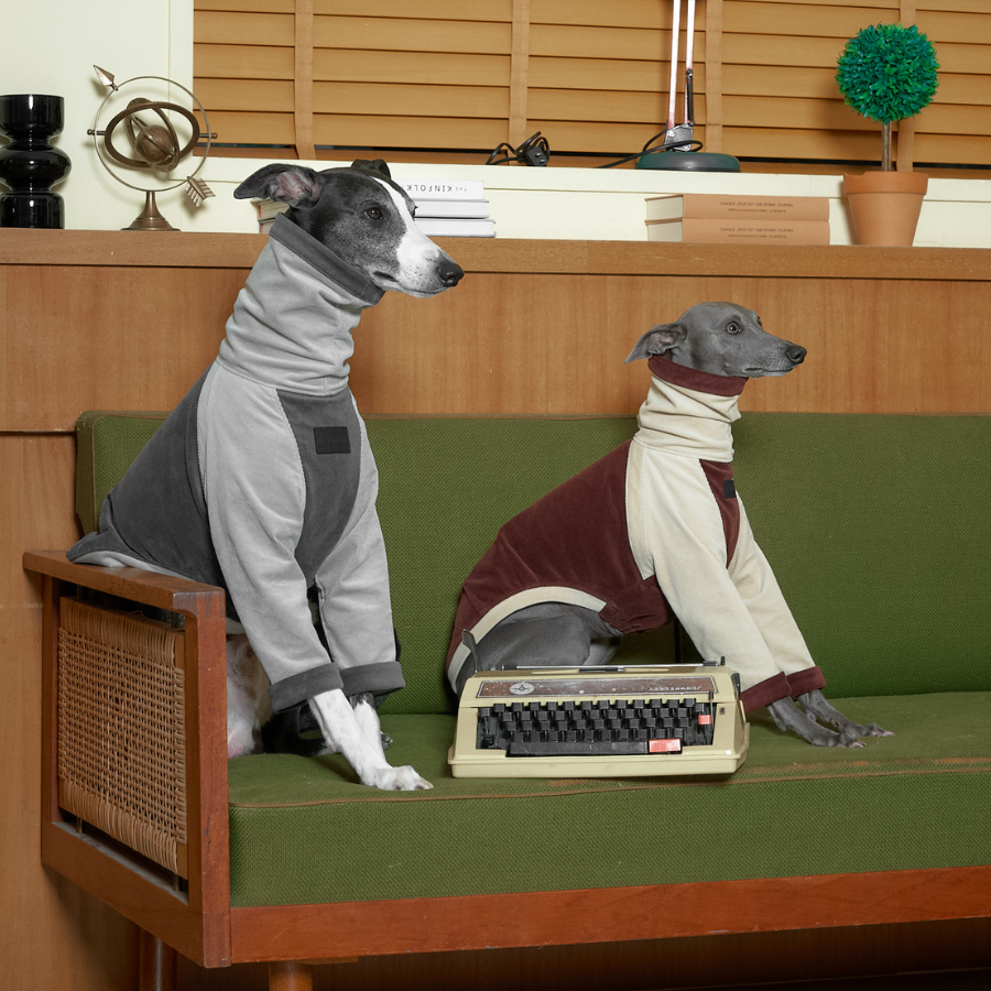 bondir トレンドコート　中型犬　R5 BONDIR ドッグウェア R5 bondir トレンドコート 中型犬 R5