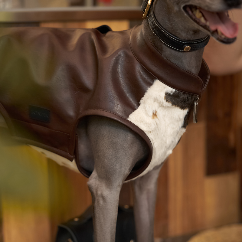 Baxley Cowhide Leather Vest