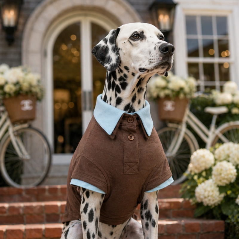 Cocoa Double Layer Dog Polo