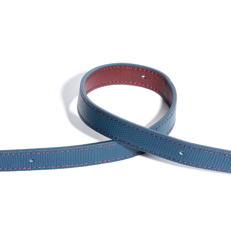 Rosette Leather Dog Leash