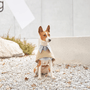 Crestone 2-in-1 Jacket - BONDIR