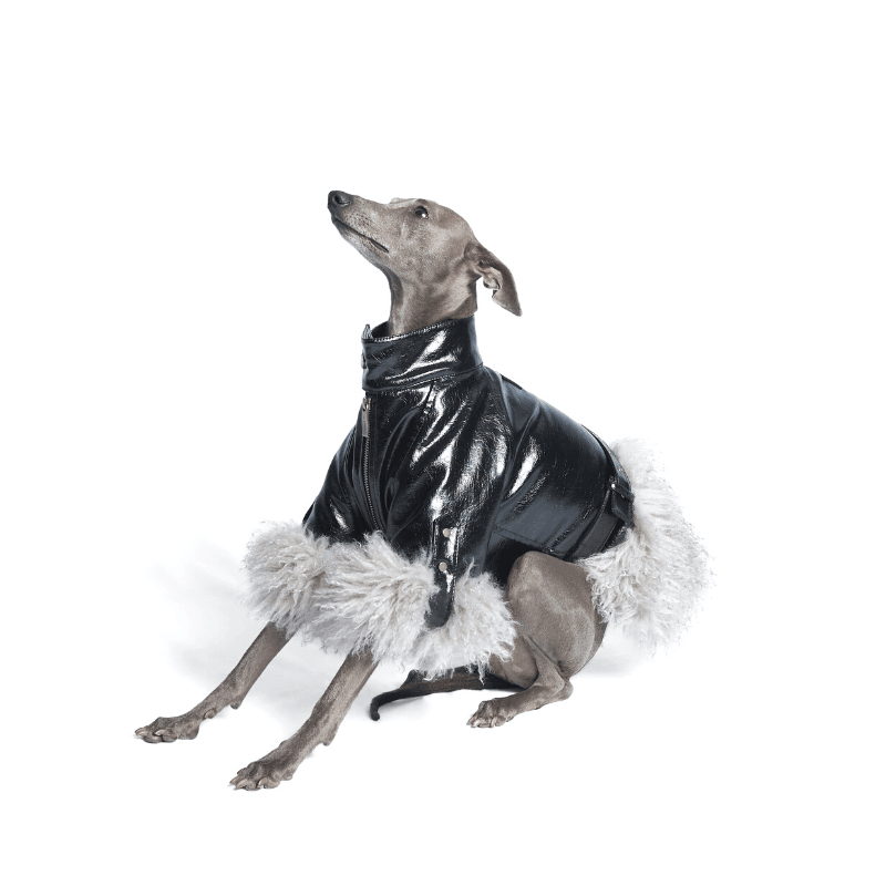 Dog 2025 fur jacket
