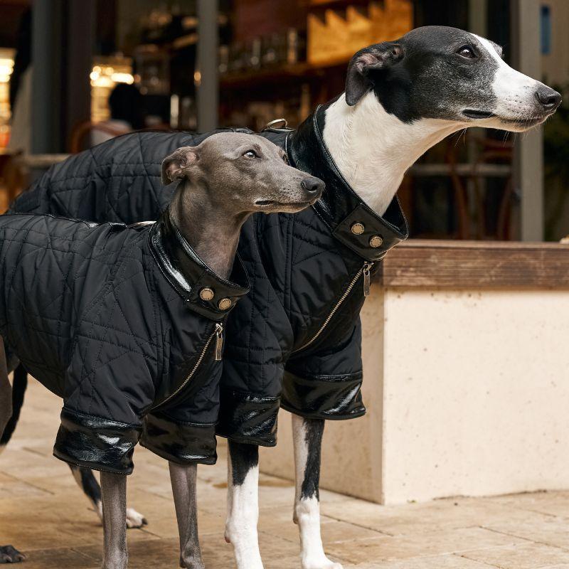 Shadow Quilted Jacket - BONDIR