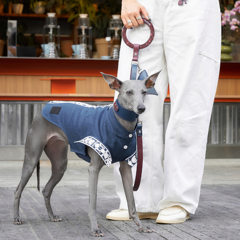 Rosette Leather Dog Leash