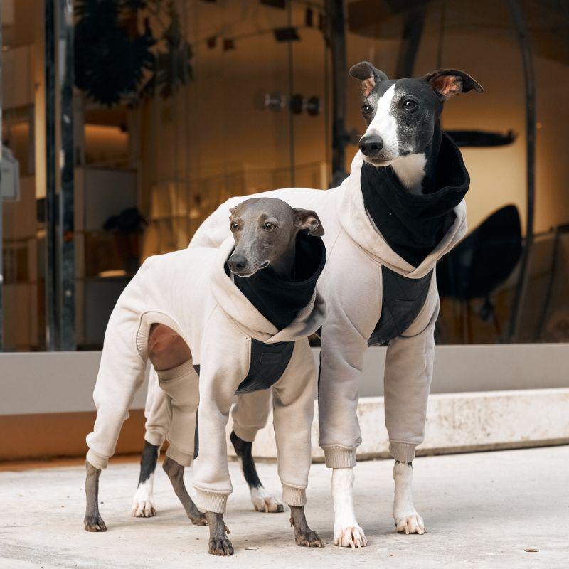 Albany Hooded Onesie – BONDIR