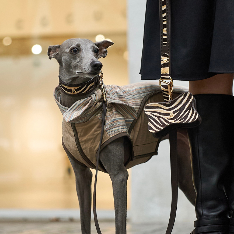 Zambezi Pony Hair Dog Leash