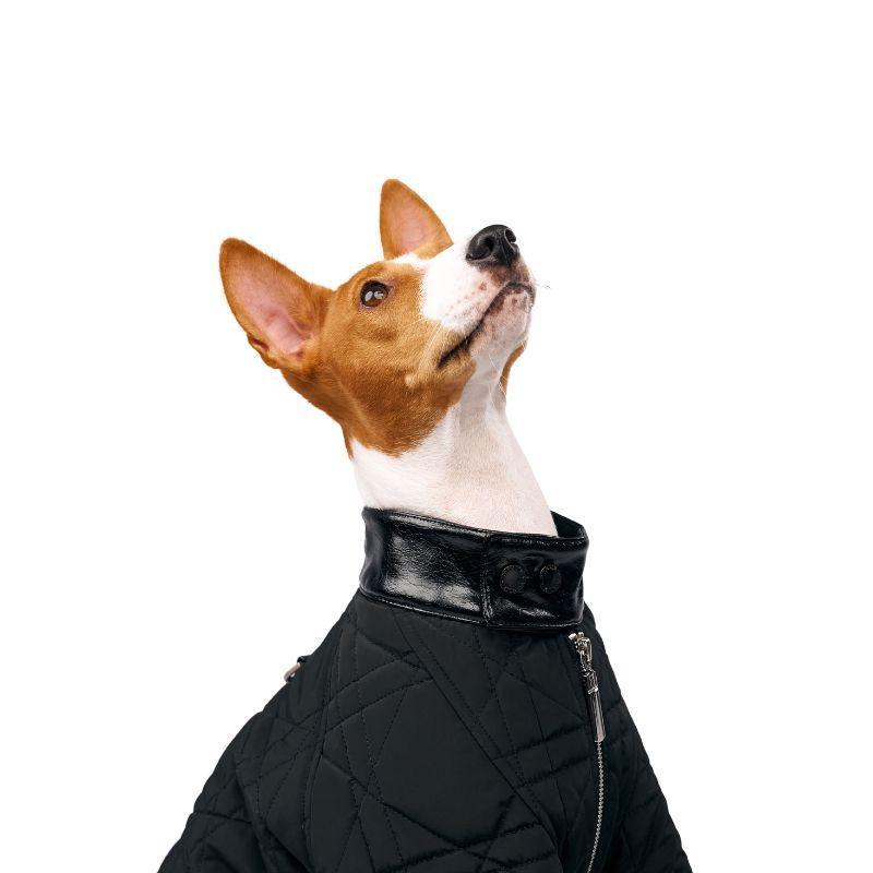 Shadow Quilted Jacket – BONDIR