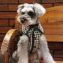 Soho Tweed Padded Vest - BONDIR