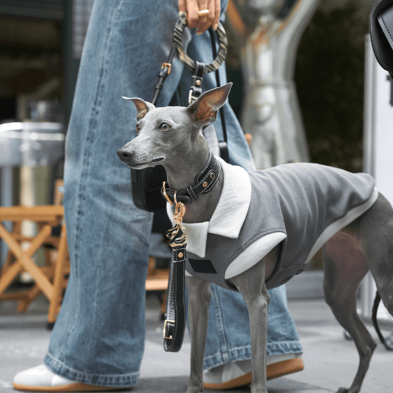 Obsidian Leather Dog Leash - BONDIR