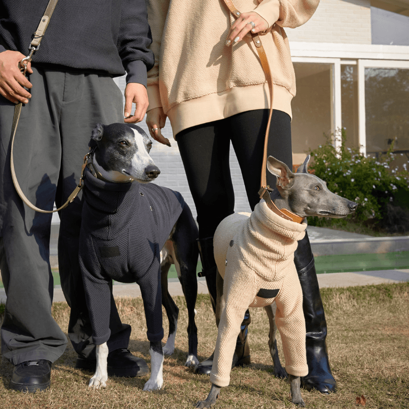Hampton Human Sweater