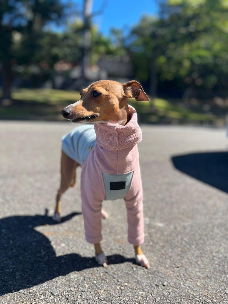 Maeve Sweater - BONDIR