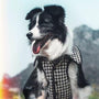 Soho Tweed Padded Vest - BONDIR