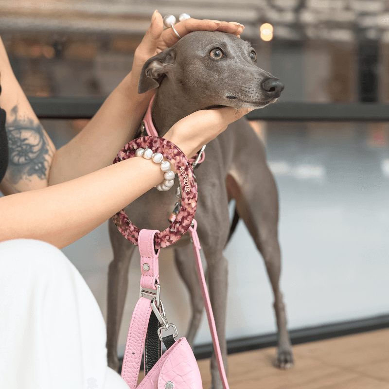 Flamingo Leather Dog Leash – BONDIR Flamingo Leather Dog Leash – BONDIR