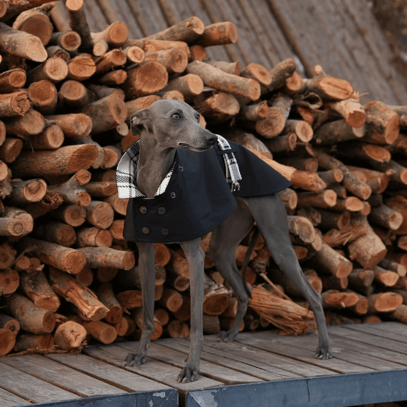 London Trench Coat - BONDIR