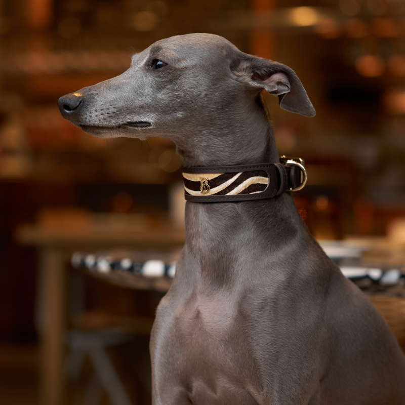 Zambezi Pony Hair Dog Collar