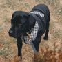 Soho Tweed Padded Vest - BONDIR