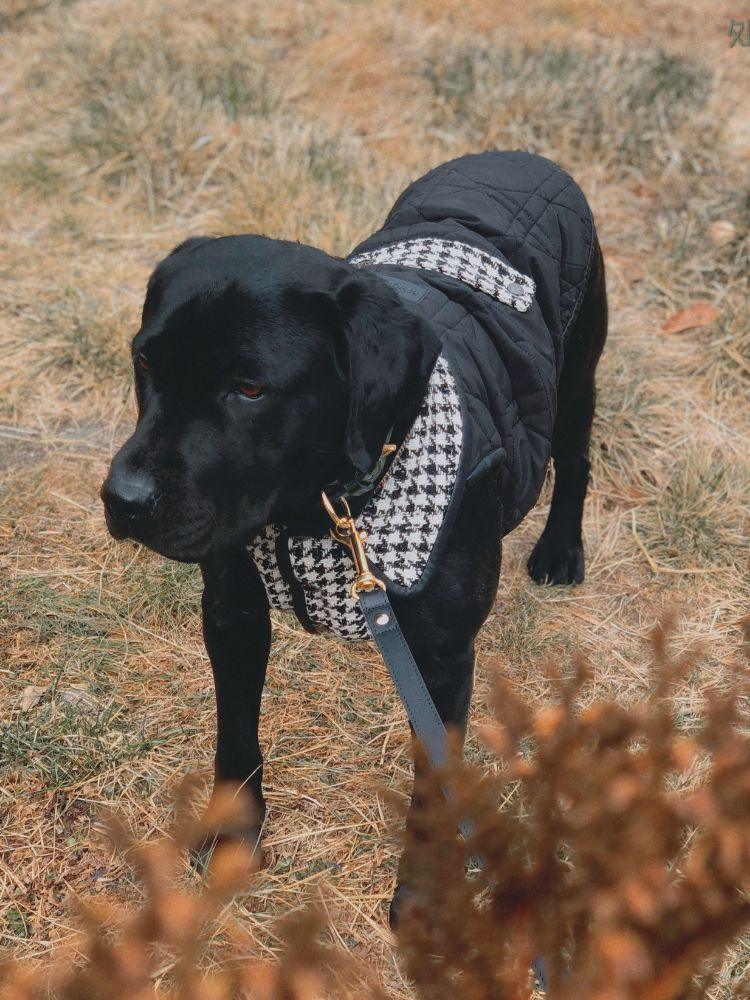 Soho Tweed Padded Vest - BONDIR