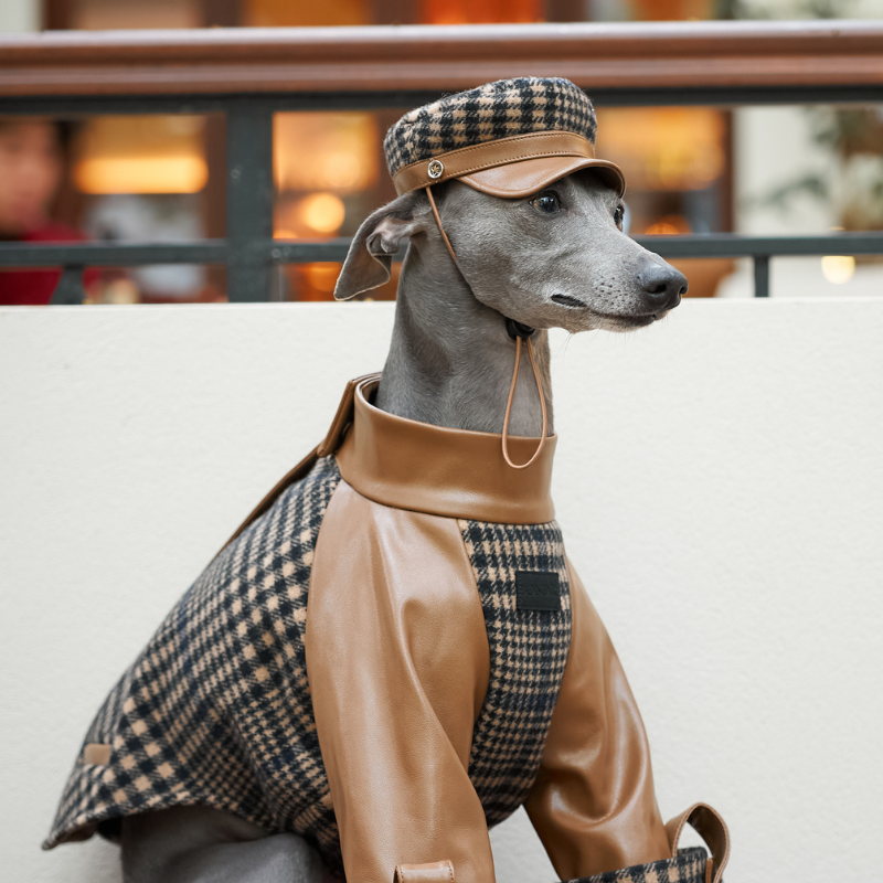 Ashwood Dog Hat