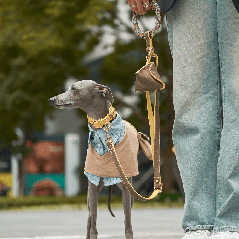 Rosy Leather Dog Leash - BONDIR