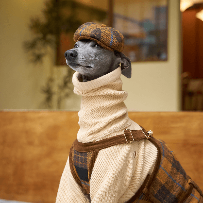 Heritage Highland Dog Newsboy Cap