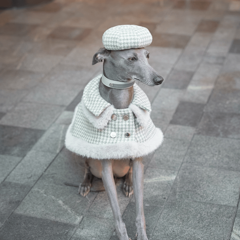 Evergreen Dog Beret