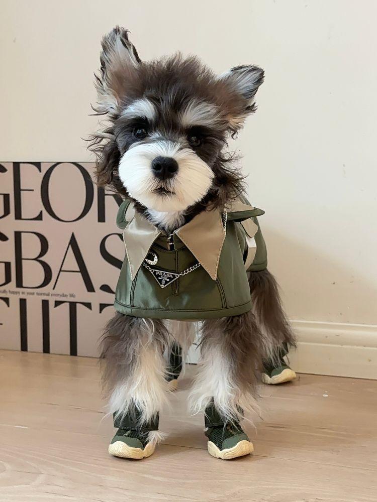 ジャケット・アウター SOFT MACHINE VANGUARD COAT L vanguard-coat-front.jpg