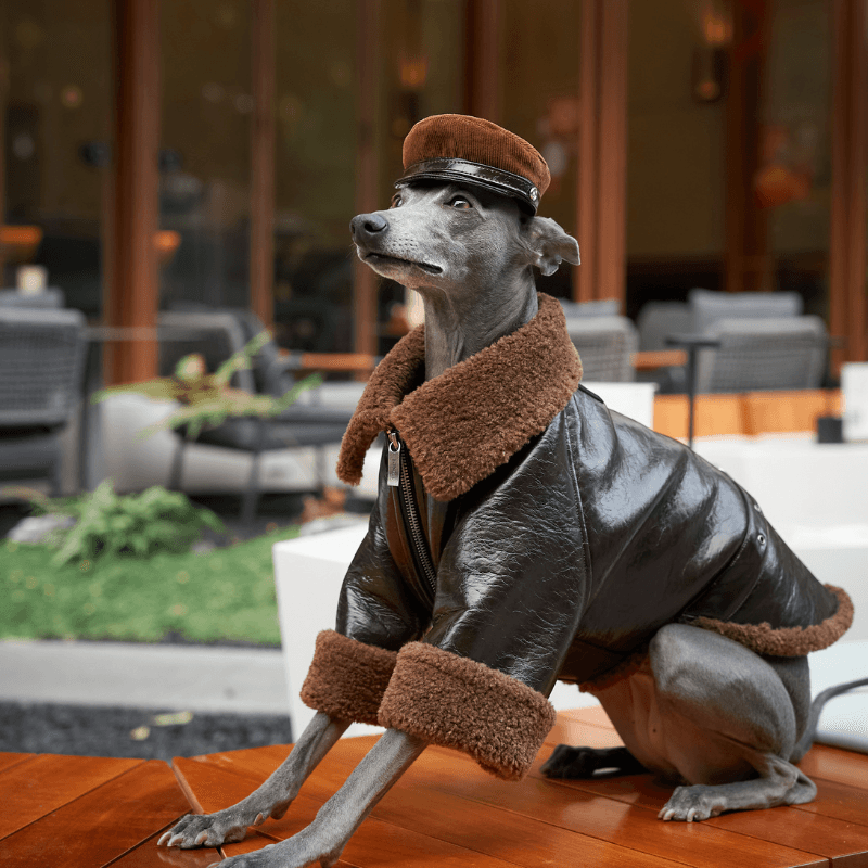 Woodland Dog Hat