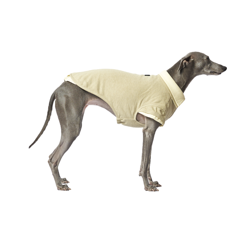 Pistachio Double Layer Dog Polo