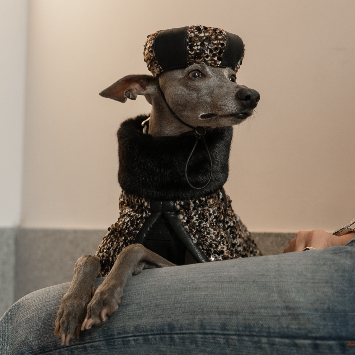 Crimson Sequin Dog Beret
