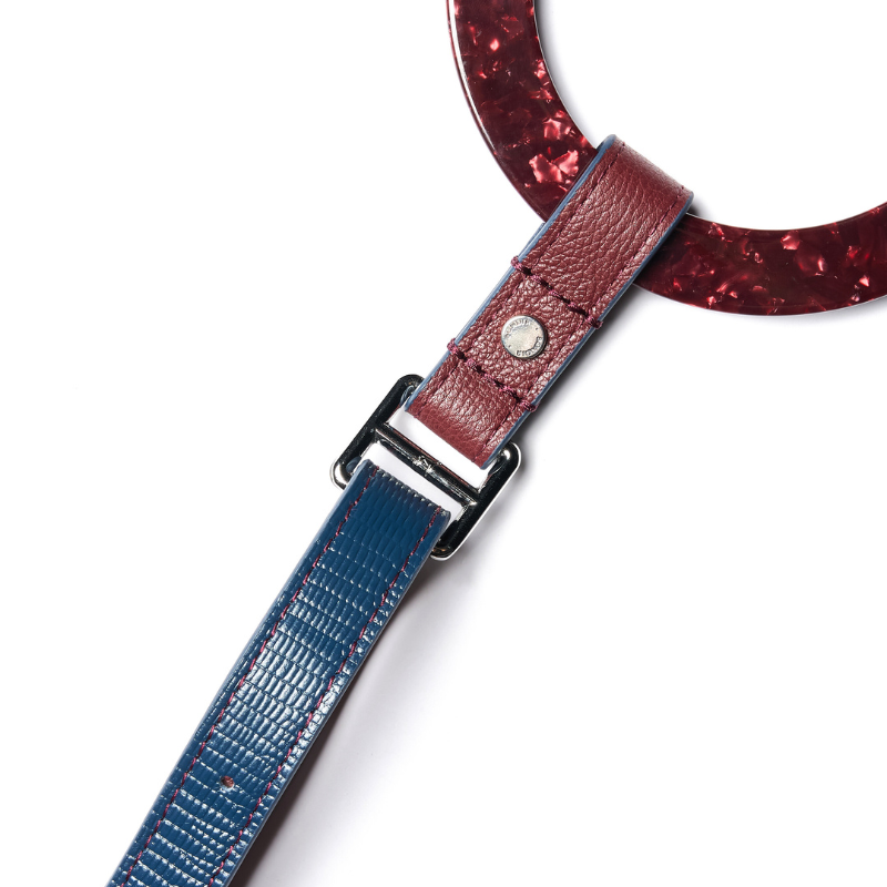 Rosette Leather Dog Leash
