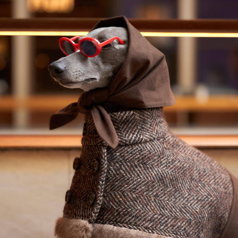 Barrow Hood-Scarf Coat (Pre-order)