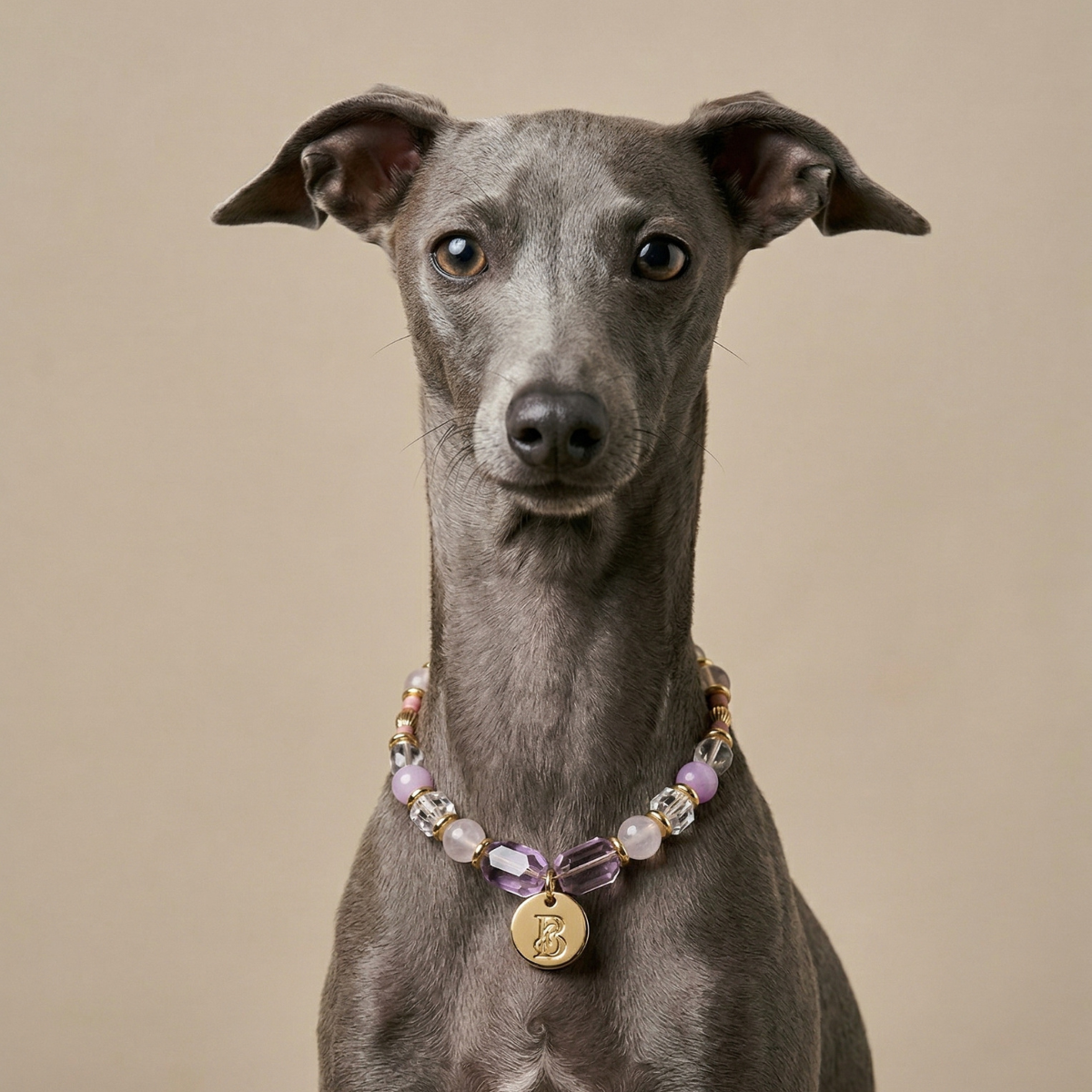 Seraphine Pet Crystal Necklace